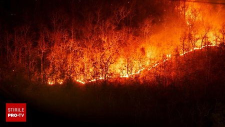 Aproximativ 1.000 de turisti au fost evacuati dintr-un camping in Italia, din cauza unui incendiu de padure