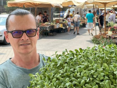 Povestea braileanului care a renuntat la amenajari interioare pentru a creste microplante in Sibiu