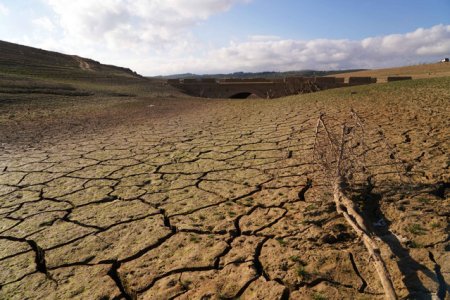 Guvernul promite bani pentru agricultorii afectati de seceta