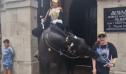 Un cal din garda regelui Charles al III-lea musca o turista. Soldatii pot folosi baionetele