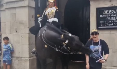 Un cal din garda regelui Charles al III-lea musca o turista. <span style='background:#EDF514'>SOLDA</span>tii pot folosi baionetele