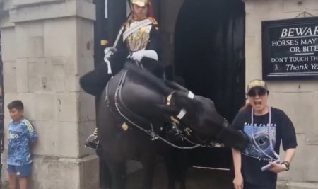 Un cal din garda Regelui Charles al III-lea a muscat o turista. <span style='background:#EDF514'>SOLDA</span>tii pot folosi baionetele