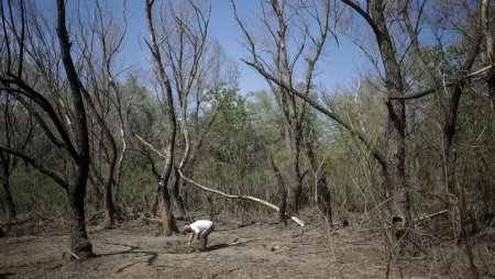 Resturi dintr-o drona ruseasca, gasite la Tulcea, dupa un atac masiv al rusilor in Ucraina. MApN: Zona e <span style='background:#EDF514'>CERCETAT</span>a in continuare