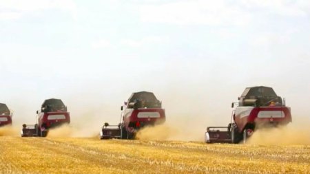 Locul din Romania in care angajatii din agricultura au salarii de 3.000 de euro. Un <span style='background:#EDF514'>FERMIER</span> a convins romani sa revina acasa