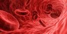 Vasele de sange imprimate 3D ar putea transforma tratamentul bolilor cardiovasculare