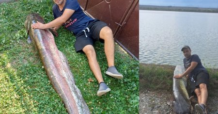 Un monstru a fost prins in tara noastra! Cum a fost scos din lac un peste de peste 60 de kilograme