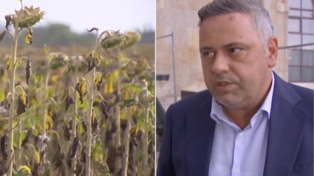 Ministrul Agriculturii a anuntat cu cat vor fi despagubiti fermierii romani afectati de seceta: Suntem in discutii si cu <span style='background:#EDF514'>BANCI</span>le