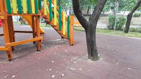 Copaci cu radacinile betonate intr-un nou parc din Galati. Angajatii Primariei au mai fost amendati de <span style='background:#EDF514'>GARD</span>a de Mediu