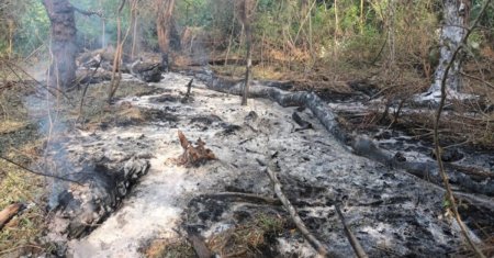 Valea Dronelor. Ce trebuie sa stiti despre localitatea Plauru din Tulcea unde cad dronele rusesti