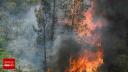 Incendiile de vegetatie fac prapad in SUA. Cel putin 3.500 de locuitori au fost evacuati in California