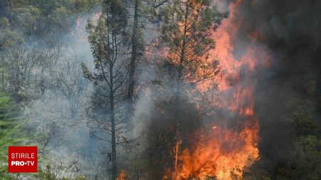 Incendiile de ve<span style='background:#EDF514'>GETA</span>tie fac prapad in SUA. Cel putin 3.500 de locuitori au fost evacuati in California