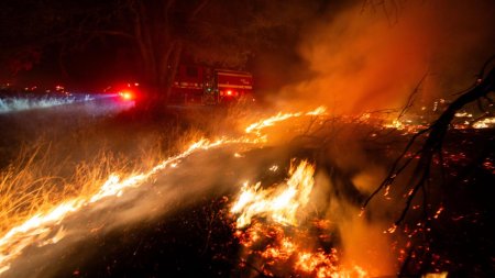 Megaincendiu in California: Peste 3.500 de persoane au fost evacuate din calea flacarilor. De la ce a izbucnit