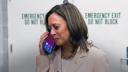 Barack si Michelle Obama au sunat-o pe Kamala Harris sa ii spuna ca o sustin la alegerile p<span style='background:#EDF514'>REZIDENTI</span>ale din SUA