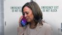 Barack si Michelle <span style='background:#EDF514'>OBAMA</span> au sunat-o pe Kamala Harris sa ii spuna ca o sustin la alegerile prezidentiale din SUA