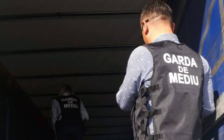 Garda de Mediu Constanta a dat amenzi de 120.000 de lei. Nereguli majore la cinci cariere de piatra