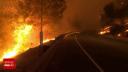 Incendiu major in California. <span style='background:#EDF514'>PESTE</span> 4.000 de persoane au fost evacuate. 