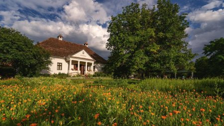 Gradina cu mirodenii din Romania care a ajuns celebra si in strainatate: 