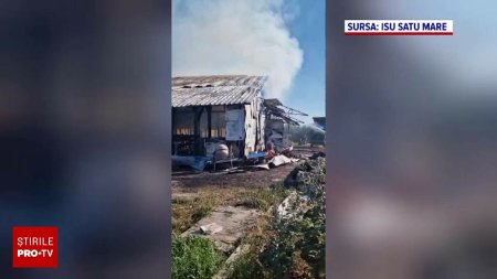 Incendiu violent la o ferma din Satu Mare. Mai multe animale au murit in flacari, iar doua persoane au ajuns la spital