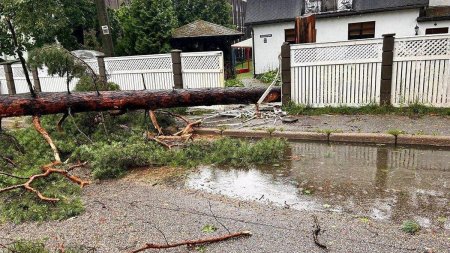 Pana generalizata de curent in tarile baltice. Sute de mii de oameni au ramas in intuneric, dupa o furtuna apocaliptica