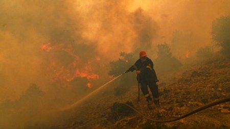 Alerta in Grecia: Zeci de incendii de vegetatie au izbucnit in doar 24 de ore. Situatie grava pe insula Evia