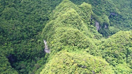 Lumea ascunsa de pe fundul dolinelor din China. Cum traiesc paduri paradisiace sub pamant