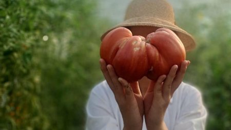 O rosie de 1.220 de grame, recordul SCDL Buzau. Vrem sa depasim un alt record