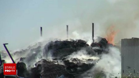 Incendiu violent izbucnit la o ferma din judetul Bacau. Mai multe animale au fost in pericol