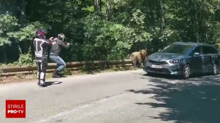 La un pas de tragedie pe Transfagarasan. Gestul care putea sa ii coste viata pe doi motociclisti