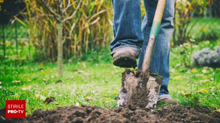 Un barbat care sapa in gradina casei sale, in Botosani, a facut o descoperire naucitoare. A sunat imediat la 112