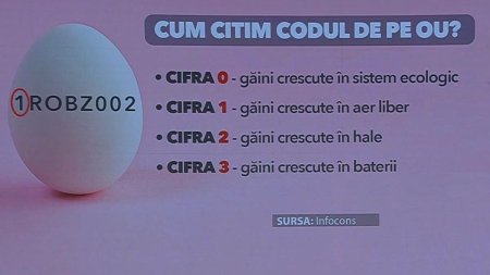 Cum citim corect eticheta de pe oua. Ce inseamna literele si cifrele