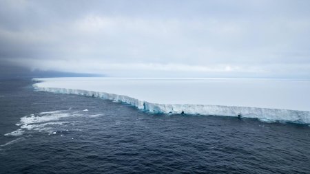 Fenomen bizar in Antarctica. Cel mai mare <span style='background:#EDF514'>AISB</span>erg din lume a ramas blocat in acelasi loc de luni de zile si se roteste incontinuu