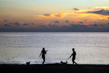 Furtuna a transportat cocaina in valoare de 1 milion de dolari pe o plaja din Florida