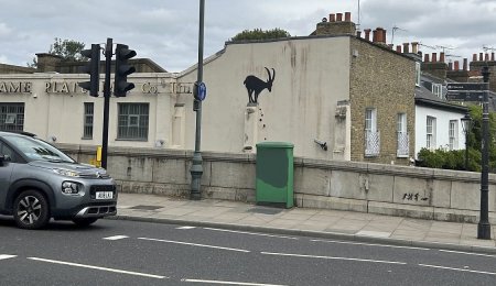 Banksy a pictat o capra neagra pe un perete din Londra si fanii lui se intreaba ce inseamna asta