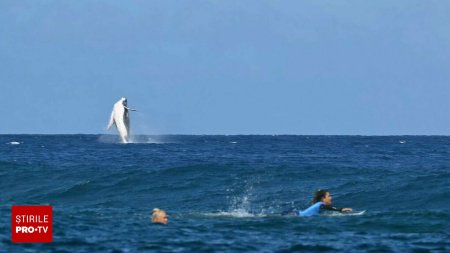 O balena si-a facut aparitia la probele de surfing din Tahiti, de la Jocurile Olimpice 2024. FOTO