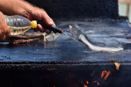 Un turist a comandat peste la o terasa din Vama Veche, insa ce a primit l-a uluit. A povestit intreaga experienta gastronomica