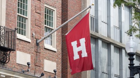 Universitatea Harvard va fi judecata pentru acuzatiile de antisemitism. Decizia de ultima ora a unui magistrat