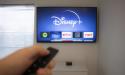 Rezultate financiare peste estimari ale <span style='background:#EDF514'>DISNEY</span> in trimestru trei fiscal, sustinute de serviciile de streaming