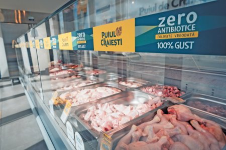 Poultry Investment are ambitii sa creasca exportul Puiului de Craiesti, care e sub 10% din vanzari. Focusul este pe occident, dar a trimis carne si in Vietnam sau tari din Africa