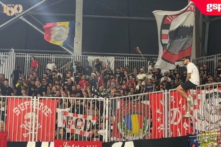 Probleme pentru Dinamo si Rapid! Cele doua rivale risca suspendarea terenului