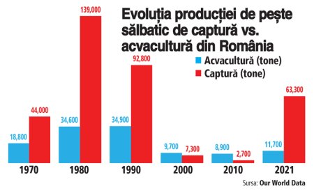 Romania are 6.000 de tone pesti salbatici de captura si o cantitate dubla produsa in acvacultura. Cresterea lor in ferme s-a dezvoltat rapid in ultimii ani datorita interesului ridicat pentru o <span style='background:#EDF514'>DIETA SANATOASA</span>, dar si a limitarii pescuitului