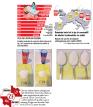 Statistici in oglinda: numarul pacientilor cu diabet creste cu 50% intr-un deceniu, in vreme ce romanii sunt primii la consumul de sucuri carbonatate cu zahar. Stiati ca o Coca-Cola la cutie de 330 ml are 35 g de zahar, adica trei linguri mari de zahar, iar <span style='background:#EDF514'>PEPSI</span> are 23 de grame?