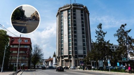 Aparitie surprinzatoare in Pitesti. Ce au zarit localnicii pe un bulevard aglomerat