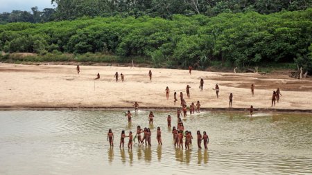 Un trib indigen complet izolat de restul lumii a atacat, cu arcuri si sageti, taietorii de copaci din Padurea Amazoniana, in Peru