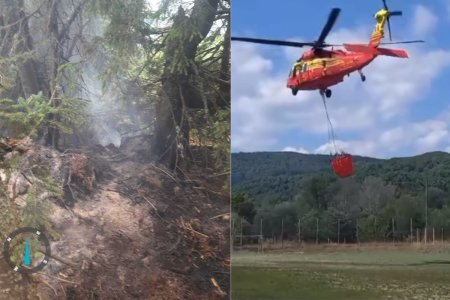 Incendiu forestier de amploare in Valcea. A intervenit un elicopter