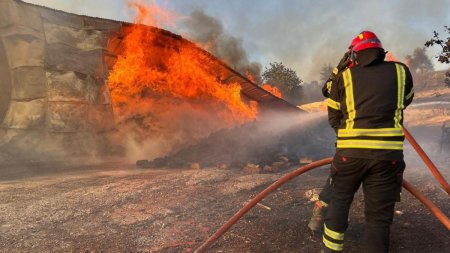 Alerta in Grecia, din cauza incendiilor: Mai multe orase au fost evacuate. Pompierii romani ii ajuta pe cei greci sa stinga flacarile