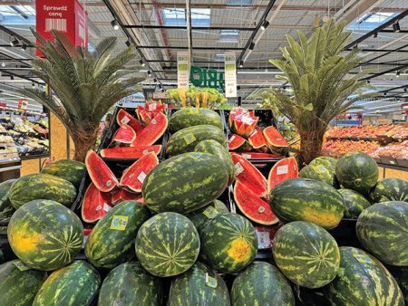 Romania isi ia revansa in batalia pe rafturile supermarketurilor: exporta pepeni in Polonia, ca raspuns la invazia de mere. Carrefour Romania: Aproximativ 60 tone de pepene pleaca saptamanal in Polonia. Luam in calcul extinderea exportului la rosii <span style='background:#EDF514'>CHERRY</span>, afine, zmeura, cirese, struguri.