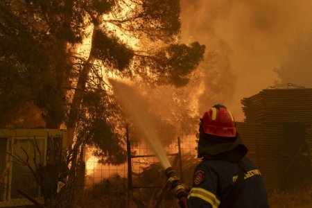 Incendii de vegetatie in Grecia. O persoana, gasita decedata intr-un magazin distrus de flacari, la periferia Atenei