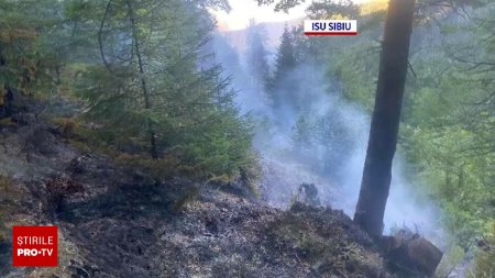 Incendiu de padure declansat de un ATV rasturnat. Pompierii se lupta cu flacarile de peste 24 de ore