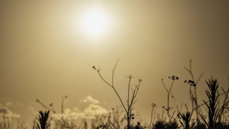 Un dom de caldura s-a asezat peste Europa. Alerte de temperaturi mortale in mai multe tari