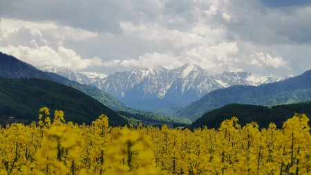 Ce poti face in judetul Covasna ca turist. Principalele obiective pe care nu trebuie sa le ratezi